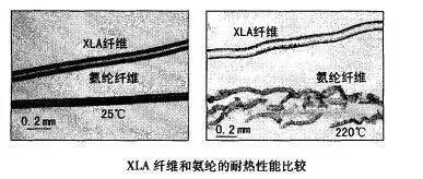 什么是弹力丝图解_拉丁舞弹力带训练图解_牛奶丝 弹力