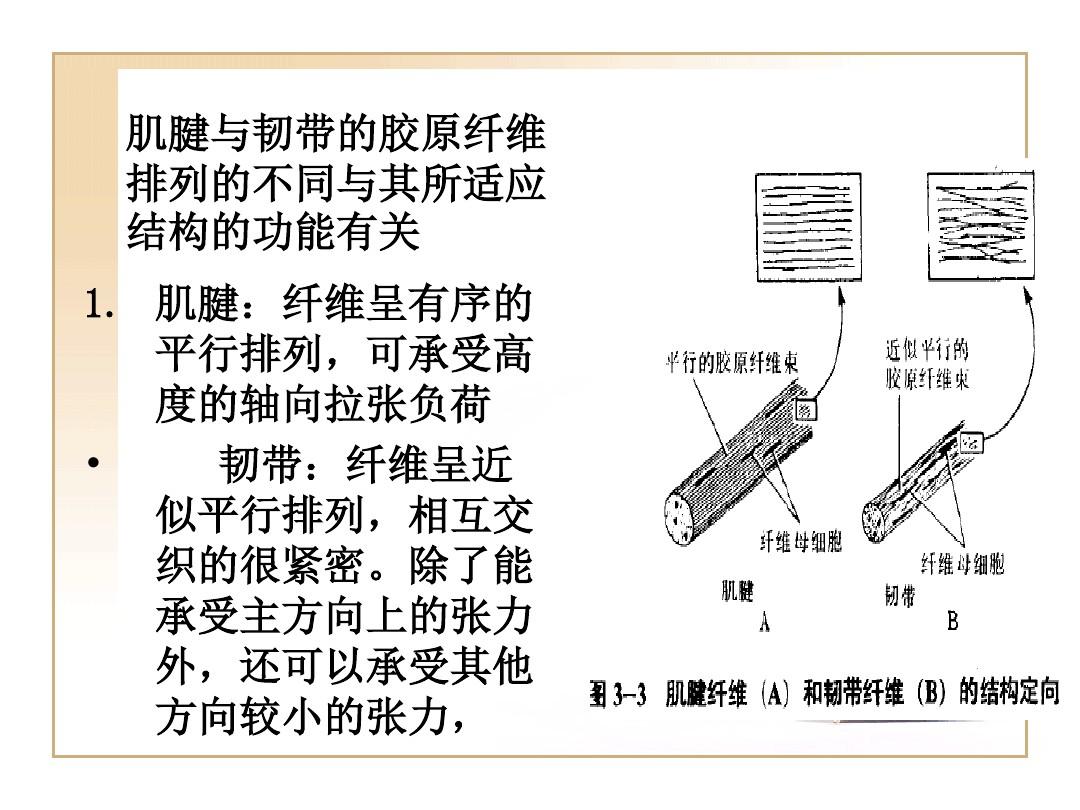 弹簧弹力计算_模具弹簧弹力计算公式_弹簧对手弹力示意图