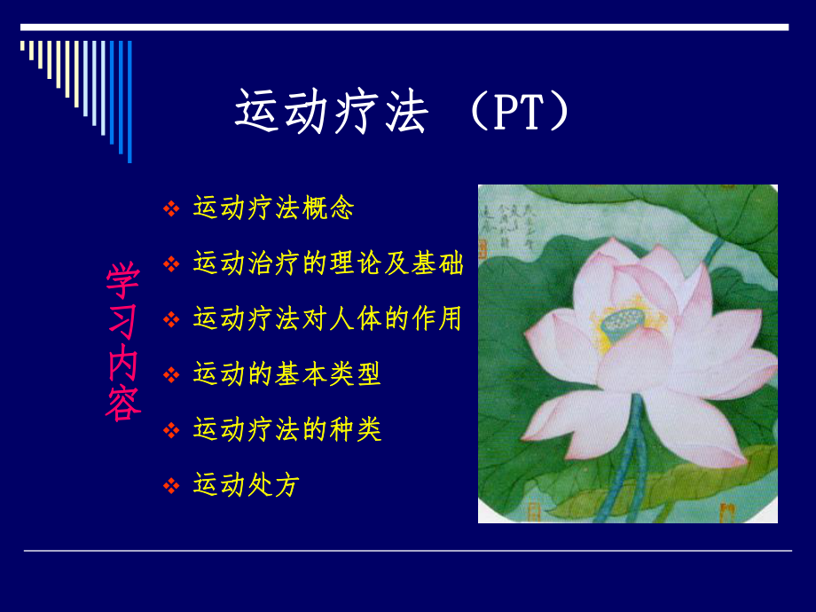 物理电极治疗_pt物理治疗_pt治疗概念