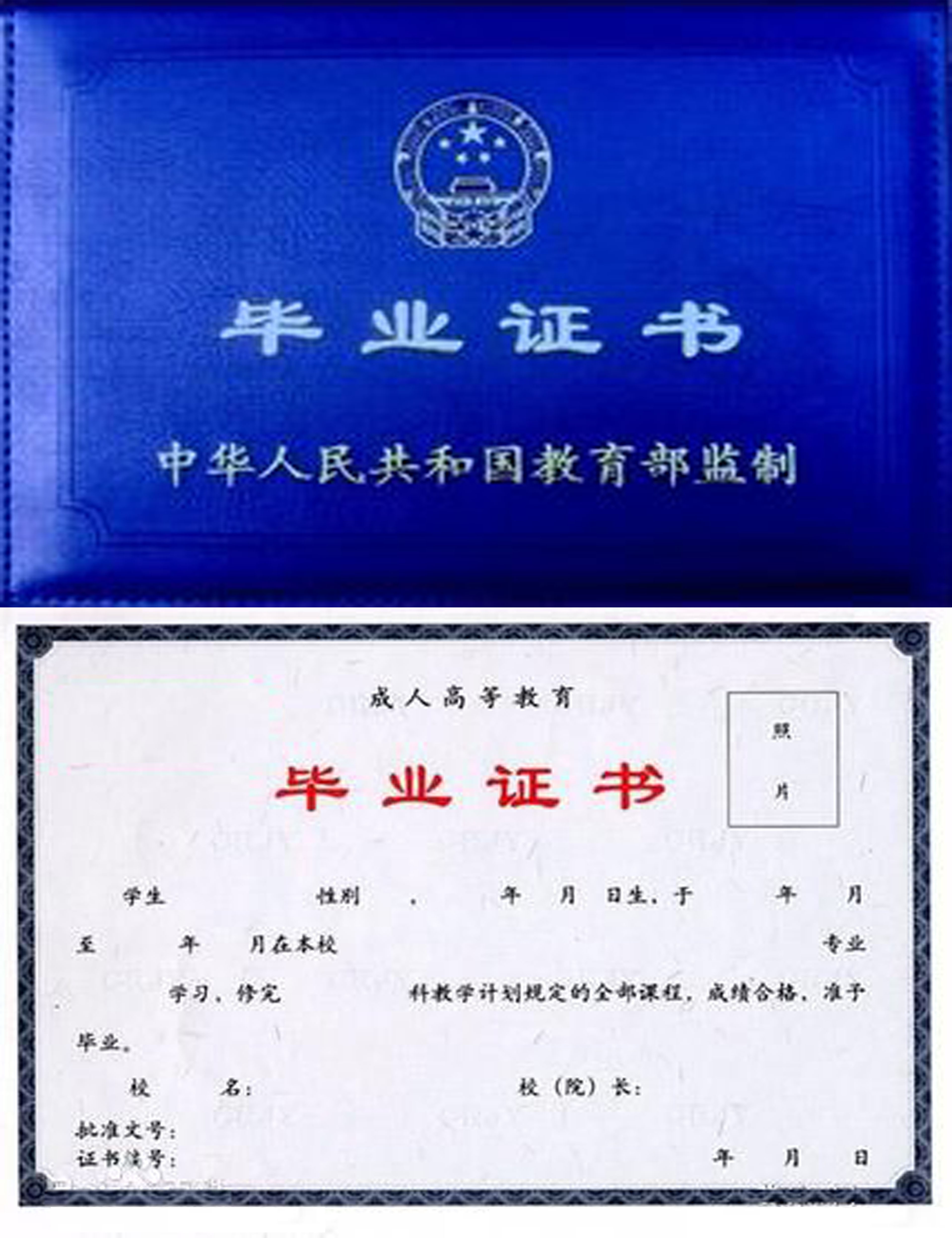 高职 专科执业医师_专科与专科高职的区别_高职与专科的区别