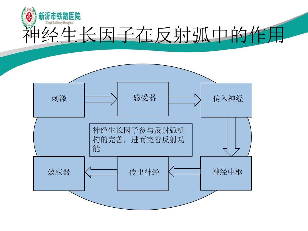物理因子治疗英文_物理因子治疗技术实训指导_物理因子疗法