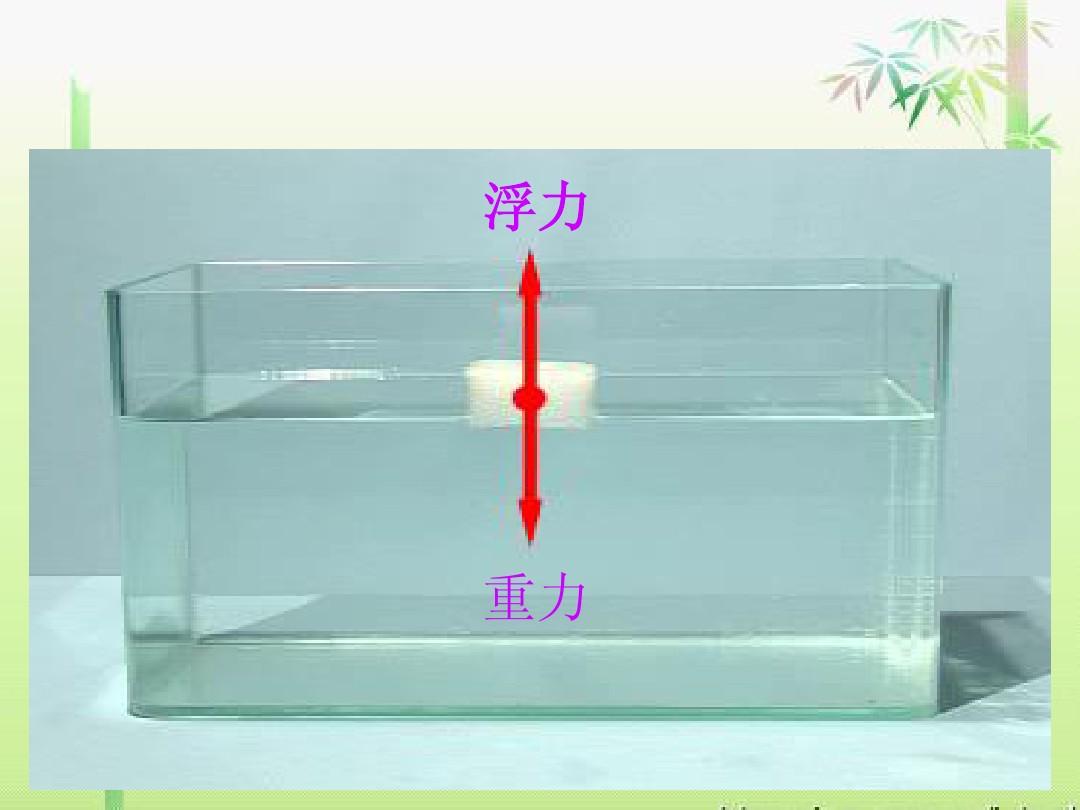 初中物理液体压强实验视频_固体压强实验视频_物理大气压强实验视频
