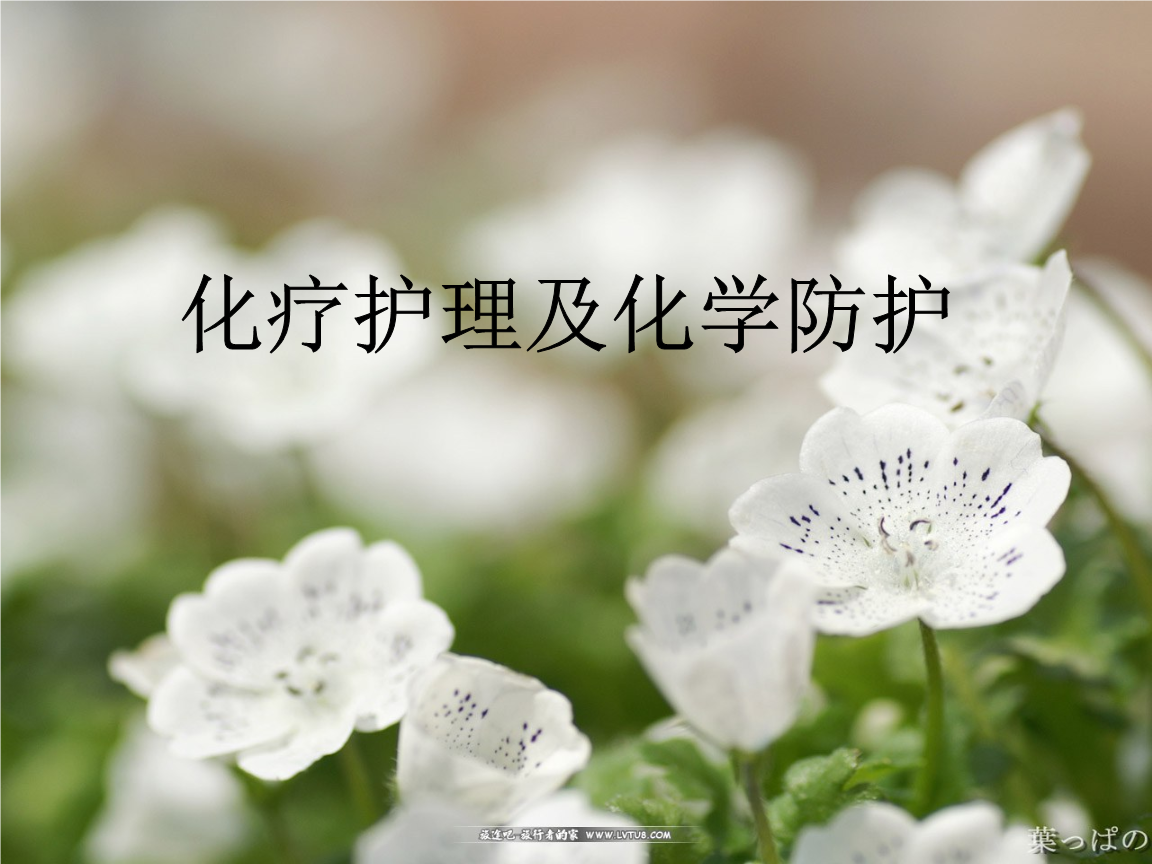 物理怎么治疗妇科炎症_pt物理治疗_风寒感冒物理怎么治疗
