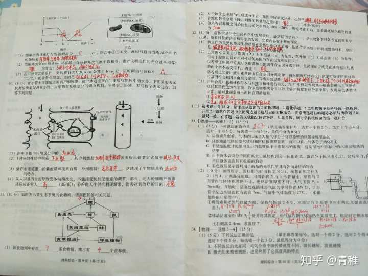 快速提高立定跳远成绩_怎么提高物理成绩_怎么快速提高英语成绩