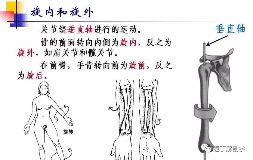 血管方面的疾病有哪些_弹力带训练方法中老年人_血管通透性如何降低