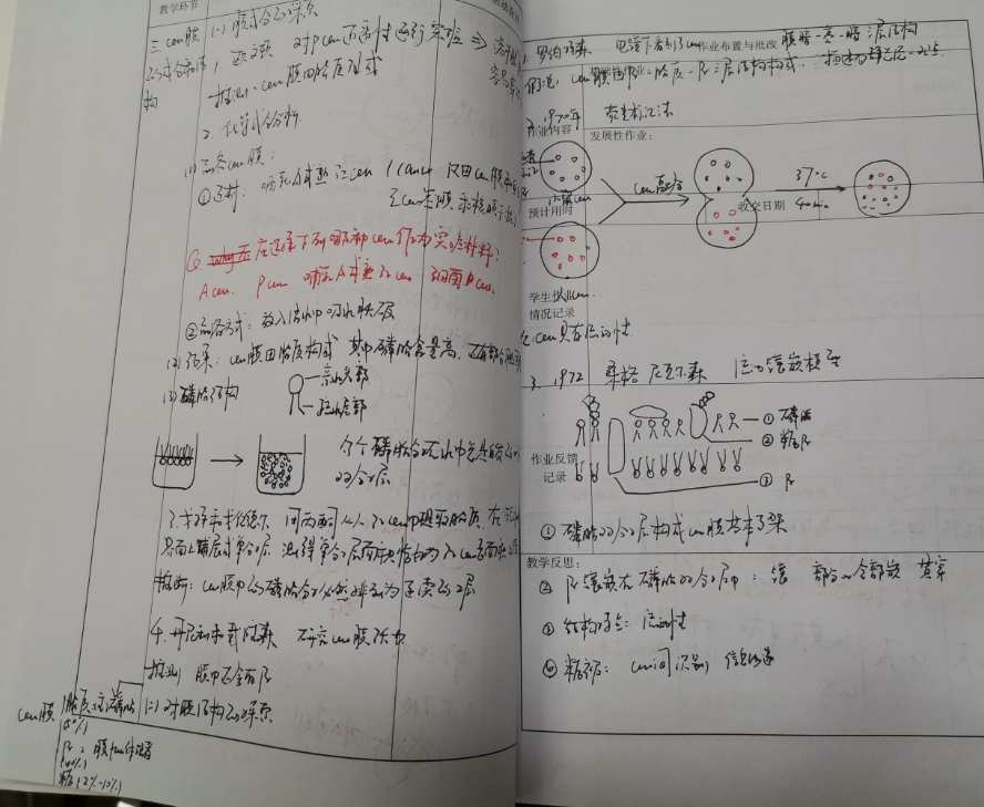 党史党建听课记录_凸透镜成像规律的听评课_聆听党课教育