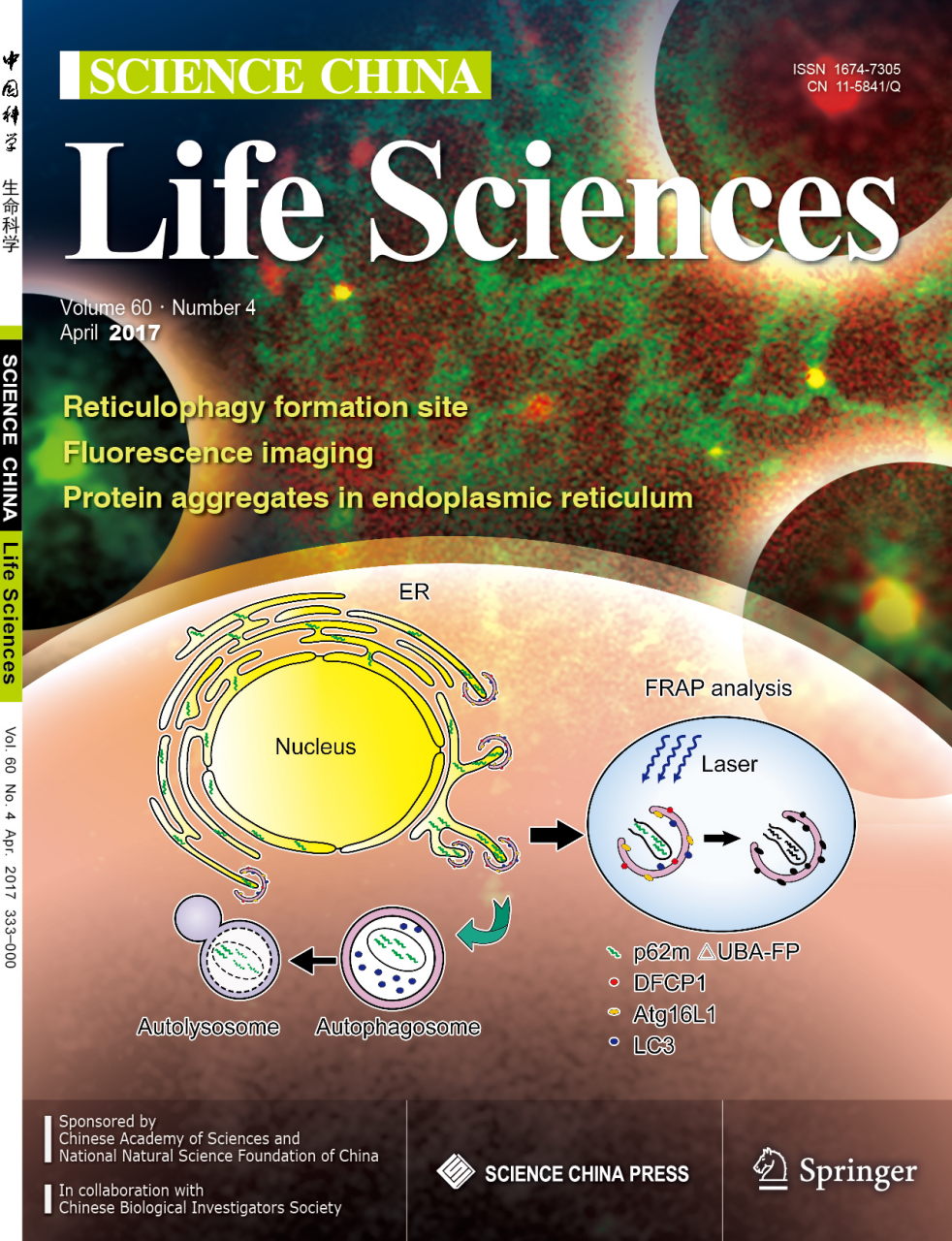 物理sci一区期刊_物理学报sci几区_物理1区期刊
