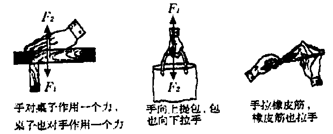 弹力框的作用_框架弹力知识点总结_弹力的知识点框架