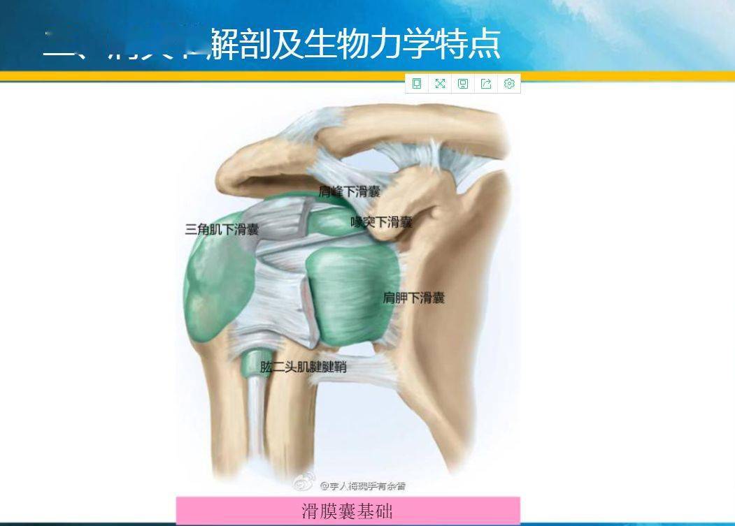 弹力带肩内旋_弹力带肩外旋怎么做_弹力带肩环绕