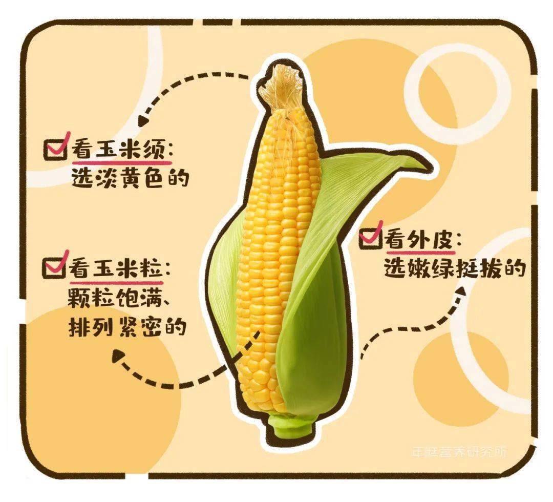 科普类物理书_物理科普读物有哪些书_有关科学物理科普的书