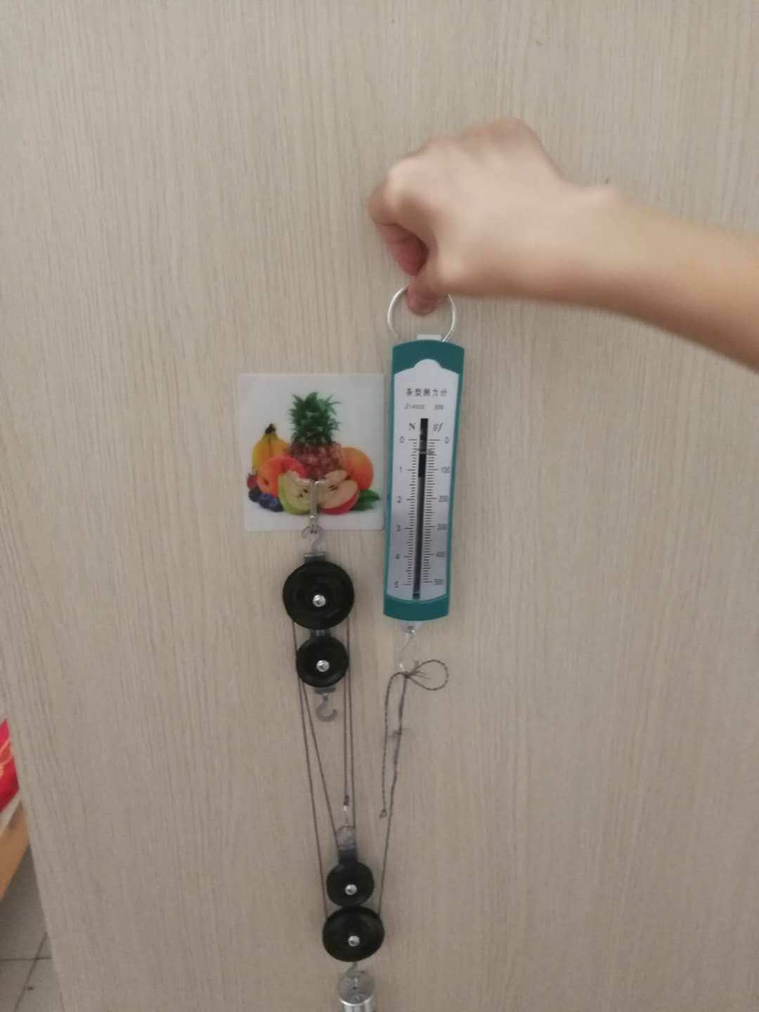 测算滑轮的机械效率实验_测量动滑轮的机械效率_测量动滑轮机械效率的原理