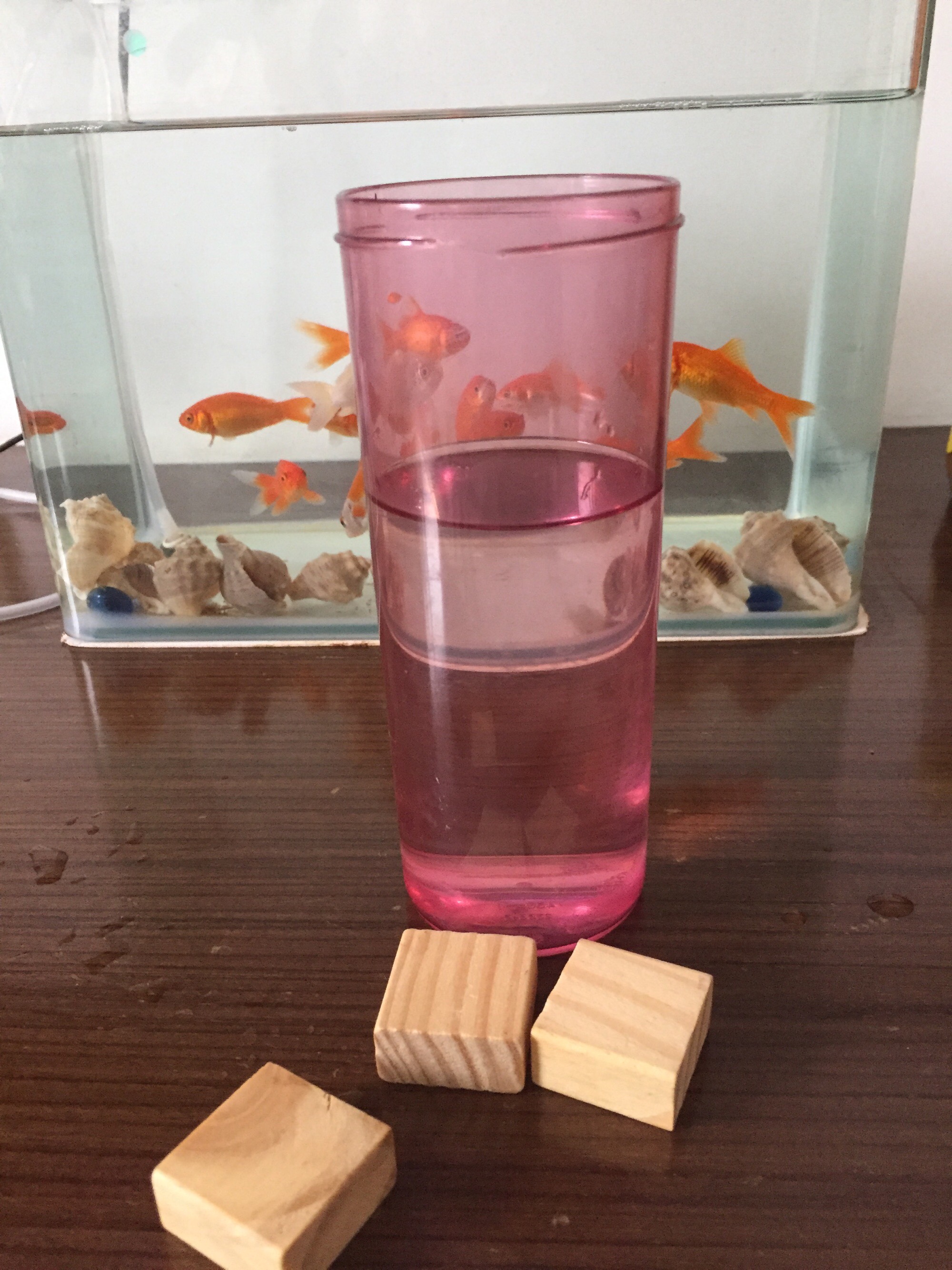 大气压强是谁发现的意大利_意大利受什么气压带控制_意大利谁测出大气压的值
