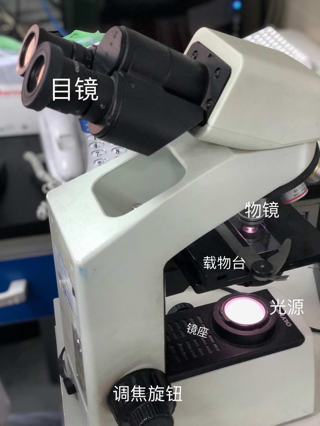 光学显微镜如何使用和维护_光学显微镜光路清洁方法_光学显微镜镜头清洗