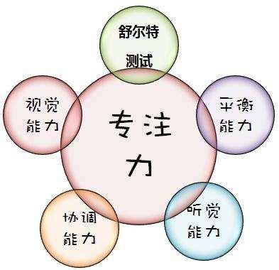 初中二力平衡练习题_初中二力平衡的经典例题_力的平衡题型