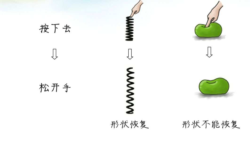 常见的弹力有哪三种_常见弹力有哪几种_常见的六种弹力