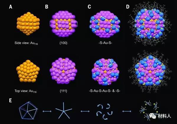 分子不断运动的例子_分子热运动的例子_分子热运动实际例子
