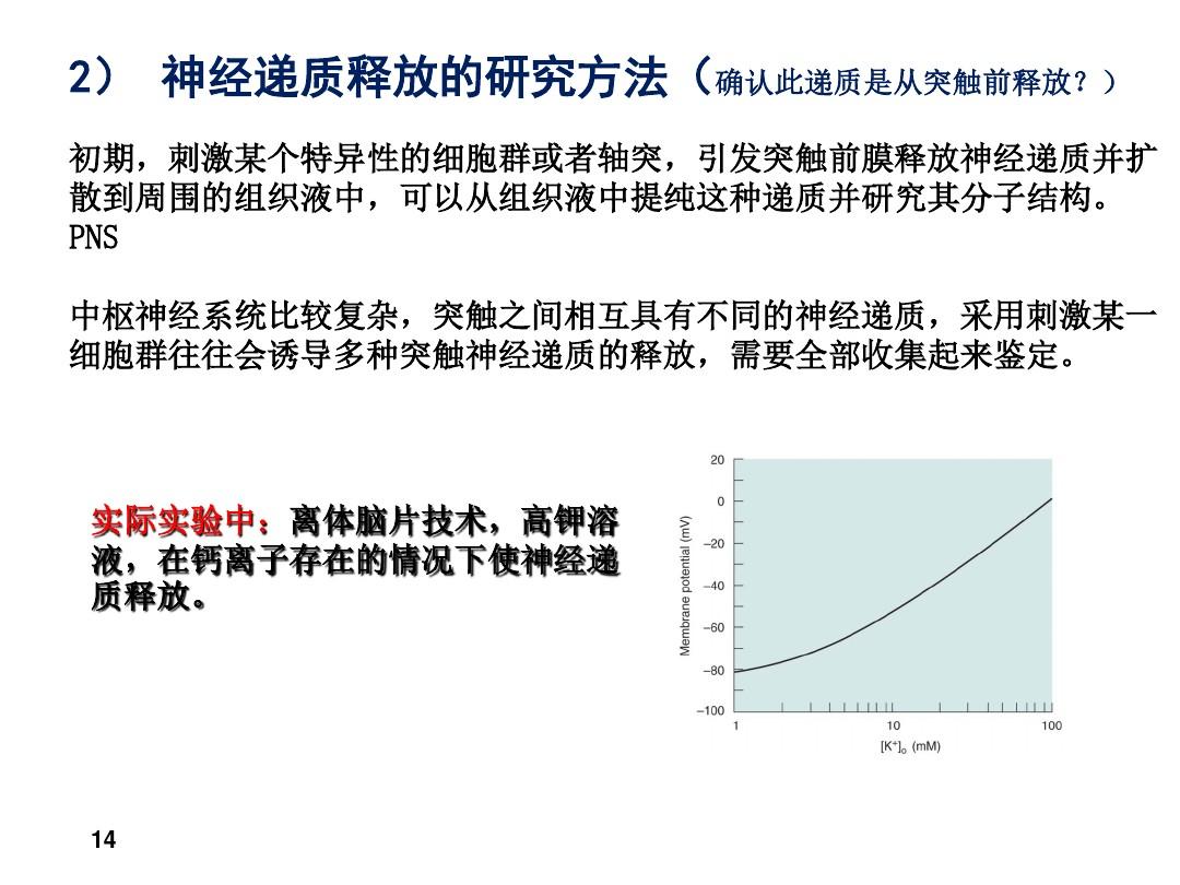 钾通道阻滞剂及开放剂_ⅲ类钾通道阻滞剂的是_钾通道阻滞剂作用机制