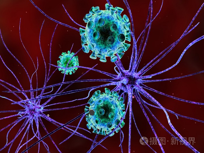 细胞膜照片_膜细胞是什么_细胞膜图片