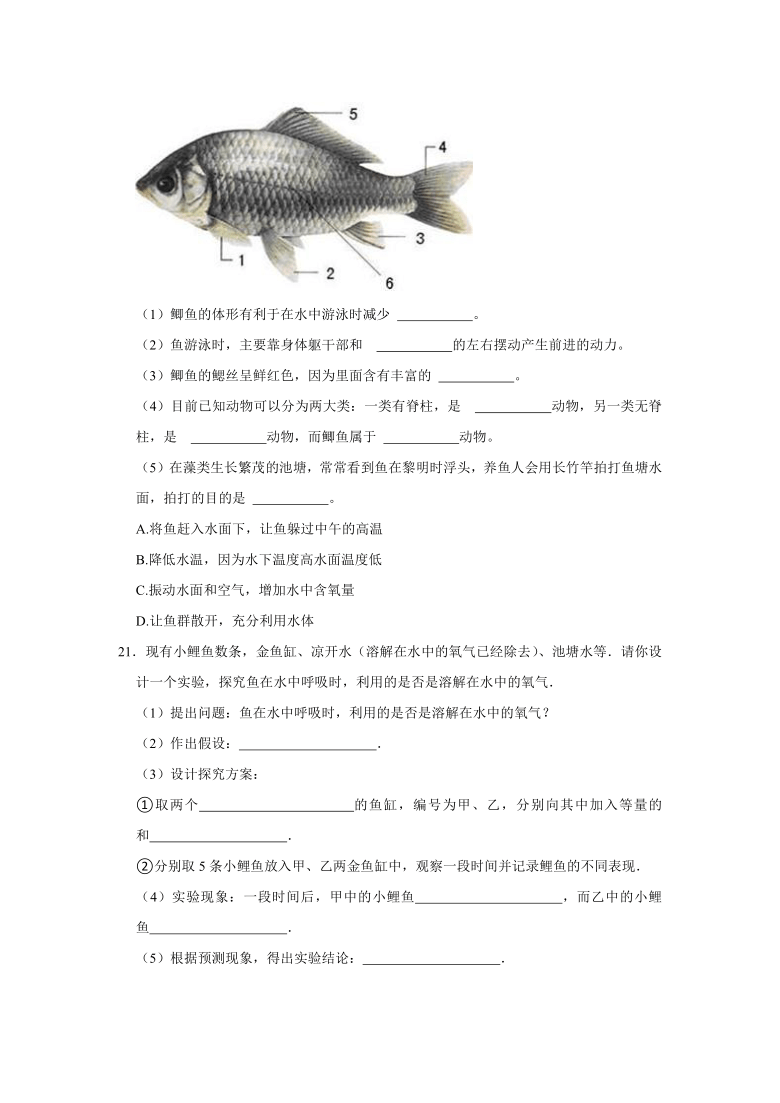 初中物理创新实验设计方案_初中物理浮力实验探究题_初中物理模拟实验室网站