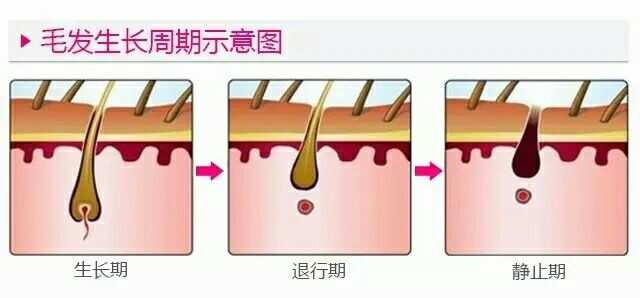 哪种弹力素效果好卷发_适合卷发的弹力素哪个牌子好_卷发弹力素十大排名