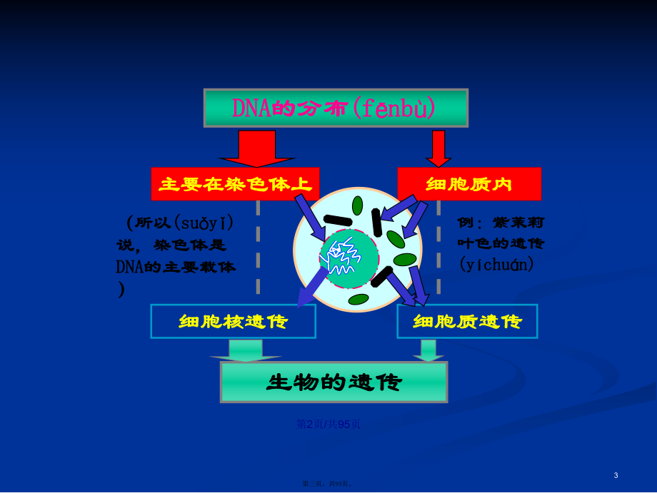 细胞的膜电位_细胞膜电位变化过程_细胞膜电位
