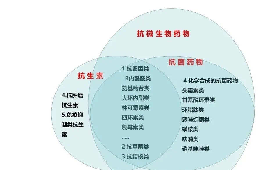 细胞膜透性_细胞膜透性与细胞膜功能的关系_细胞膜全透性