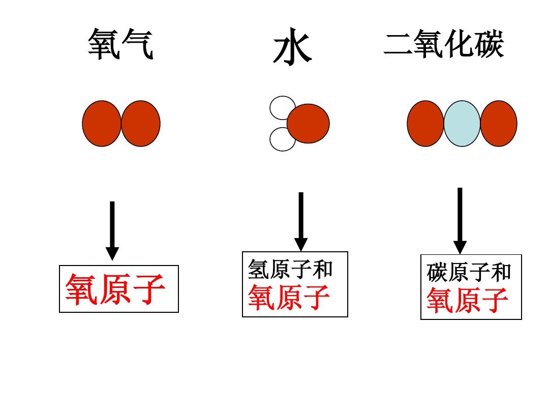 固态中水分子不运动_分子热运动的实验_实验核酸分子杂交
