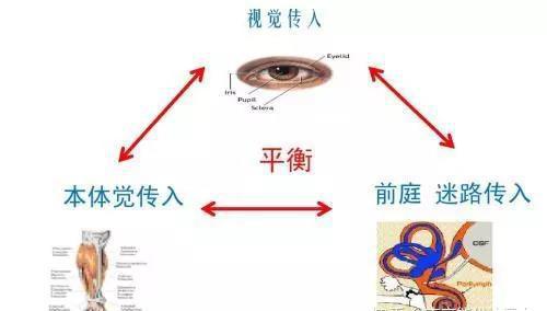 物理光现象思维导图简短的_物理思维导图的模板_物理思维导图的画法