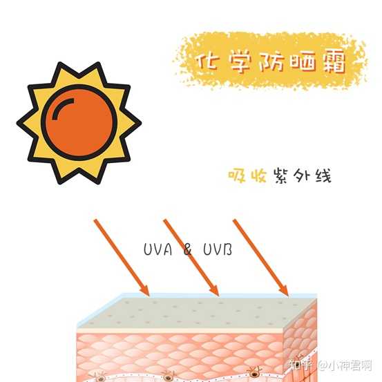 防晒化学和物理防晒的区别_防晒化学物理区别儿童和成人_儿童物理防晒和化学防晒的区别