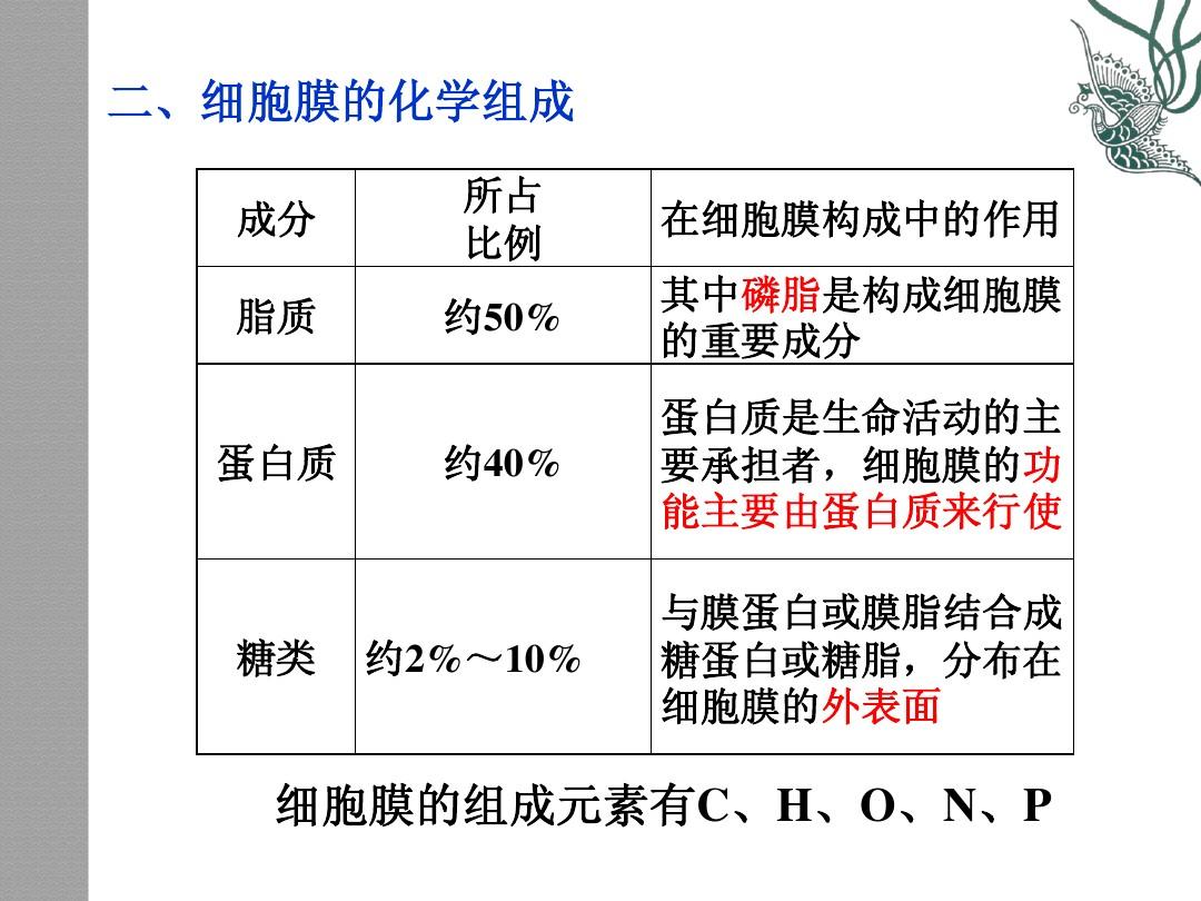 人工细胞愈合膜_细胞膜 边界的系统ppt_细胞核是双层膜吗