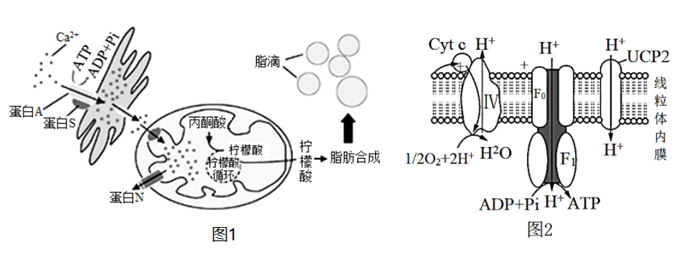 系统的边界细胞膜_细胞膜系统的边界教学内容分析_细胞膜——系统的边界ppt