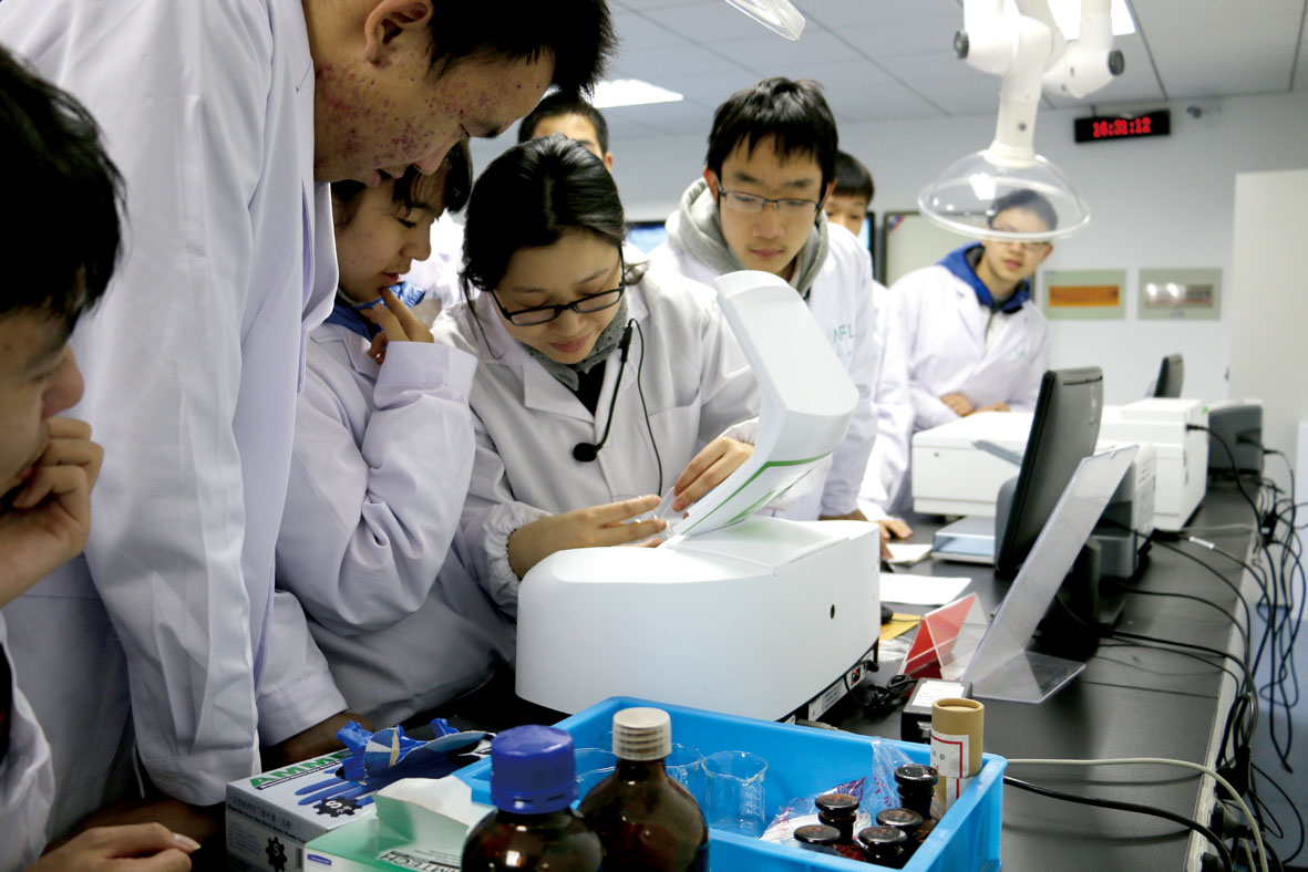 初中物理滑轮组实验_初中物理实验研究报告_初中物理创新实验论文