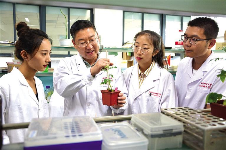 初中物理化学竞赛题_初中物理化学知识竞赛总结_物理竞赛化学竞赛