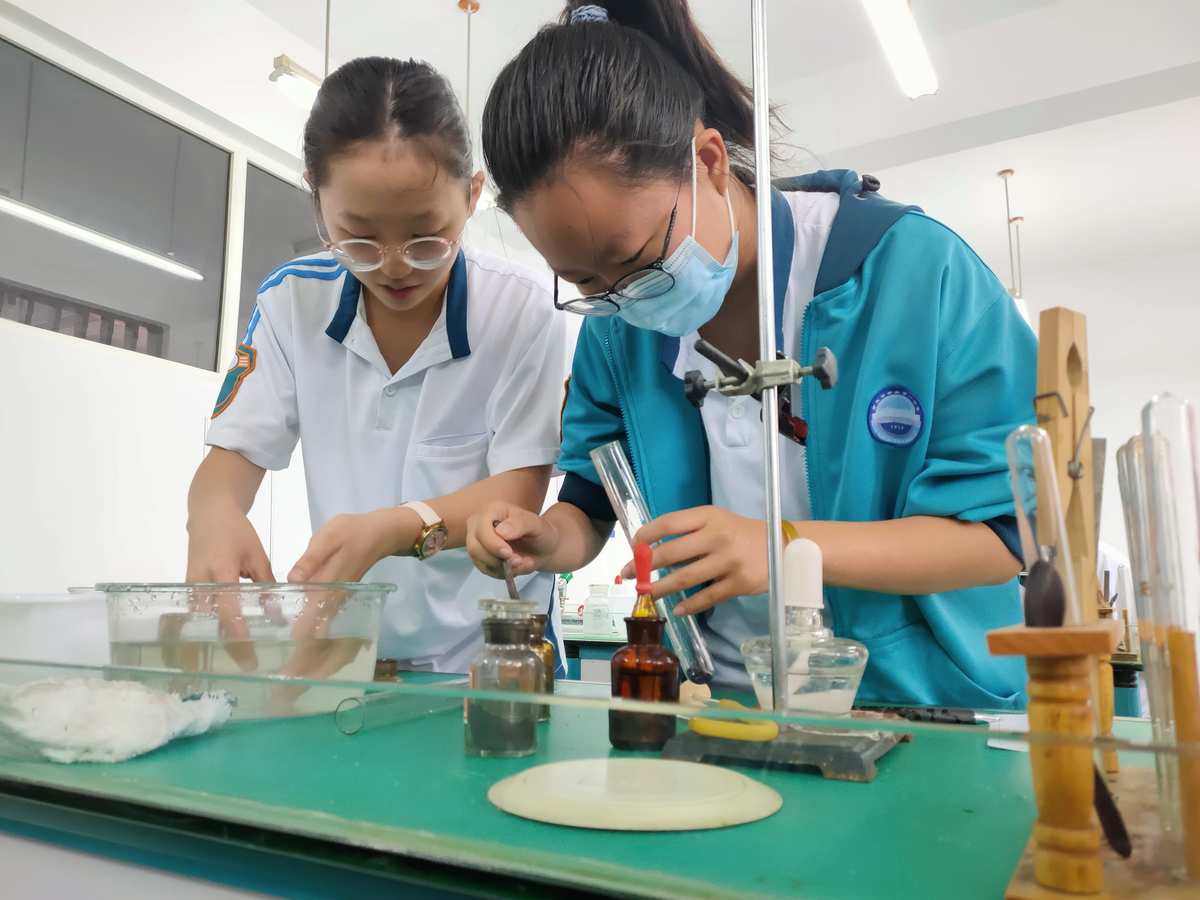 应用物理实验教学中的困难_应用物理实验教学中的困惑_实验教学在物理中的应用