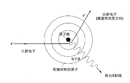 物理学家谁发现射线_物理学家发现x射线的巨大成就_物理学家 凭着发现x射线