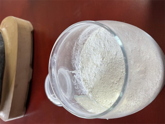 荧光原理现象叶绿素分解_叶绿素的荧光效应_叶绿素荧光现象的原理