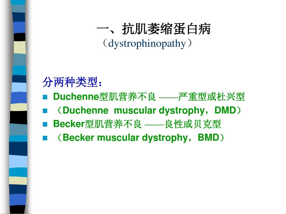 细胞膜骨架_细胞膜骨架_细胞膜骨架