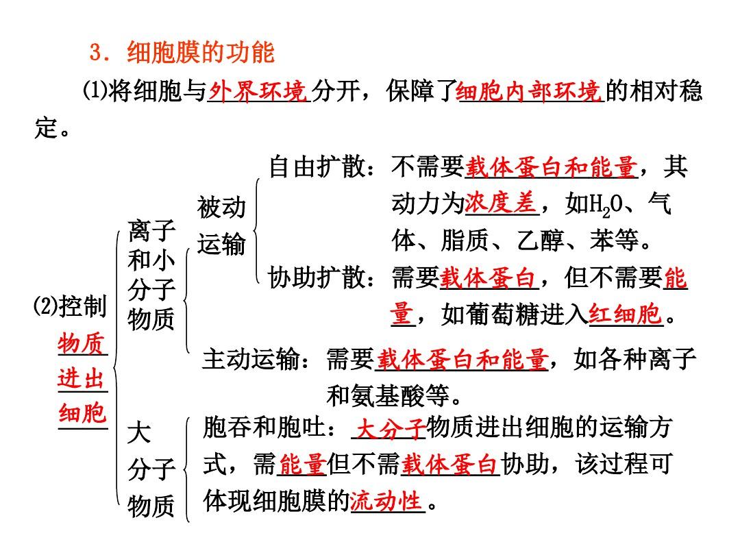 细胞膜流动镶嵌模型_细胞膜的流动镶嵌模型制作_流动镶嵌模型是细胞膜吗