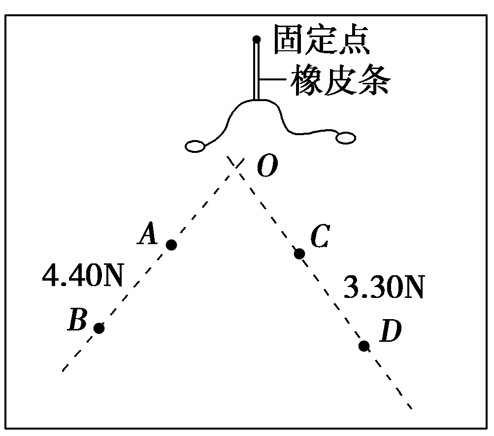 物理实验二力平衡_探究二力平衡实验题及答案_力学平衡小实验