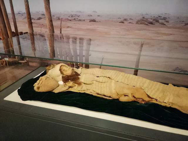 学天体物理能干什么工作_学天体物理学要选哪些科目_生物学和天体物理学
