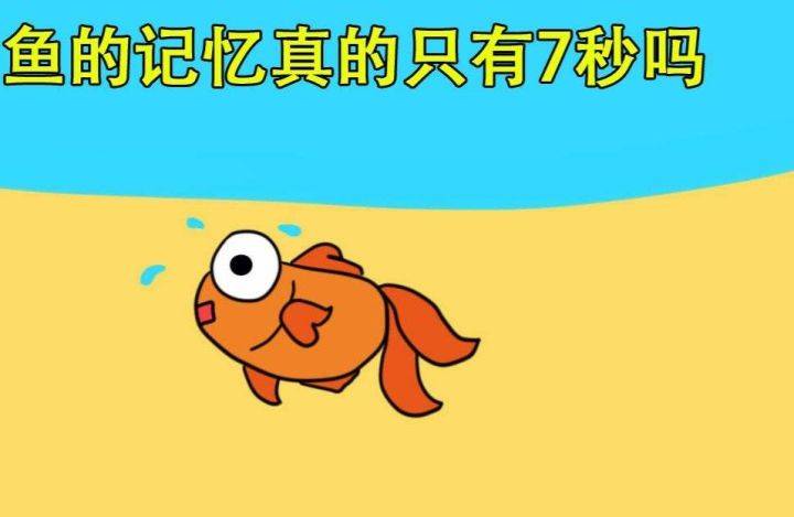 物理实验模拟软件初中_初中物理仿真实验软件_初中物理仿真实验室软件