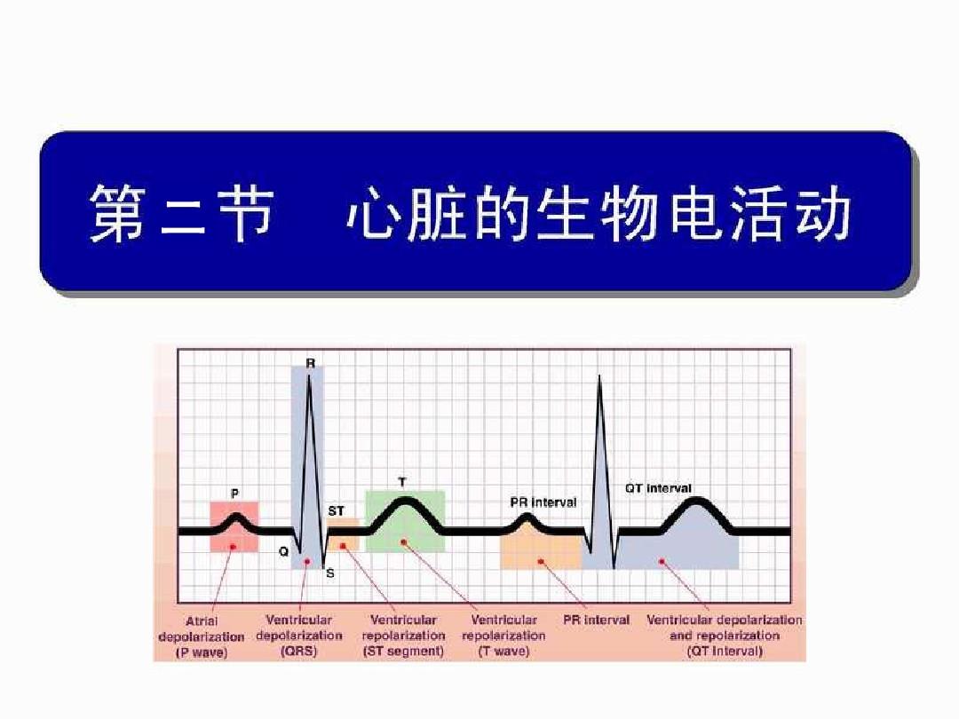 细胞膜通道蛋白及其功能_细胞膜通道_细胞膜通道的三种状态