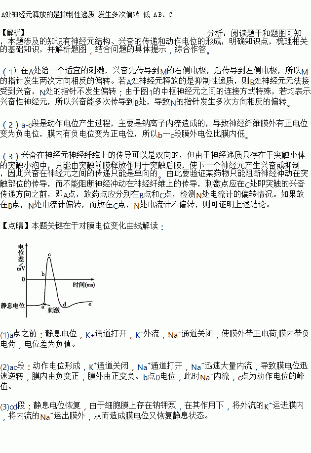 细胞膜内负电位向减小的方向变化称为_细胞膜内的负电位减小_细胞膜内电位负值减小称为