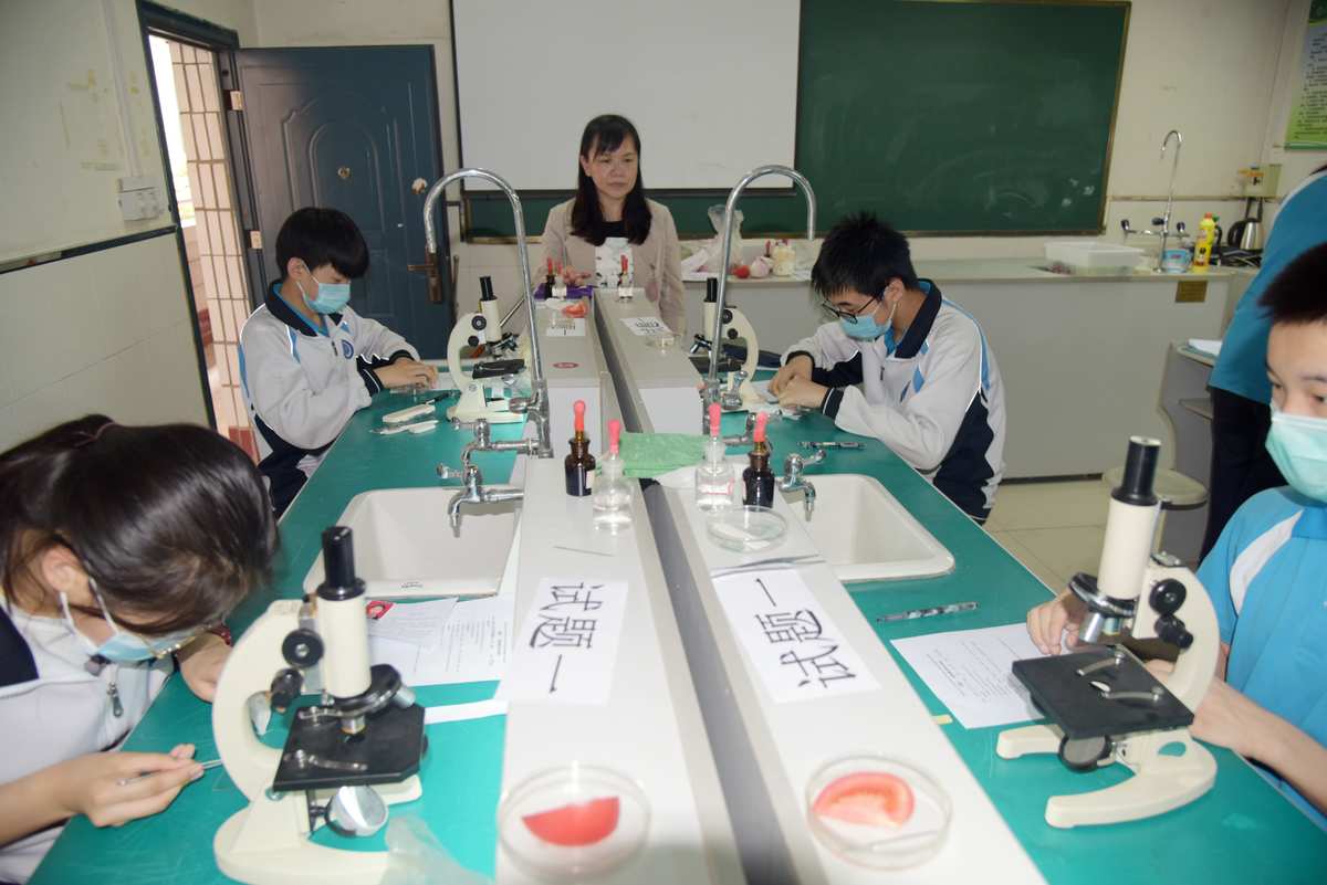 初三物理学法大视野答案_初三物理怎么学_初三物理学情点评答案