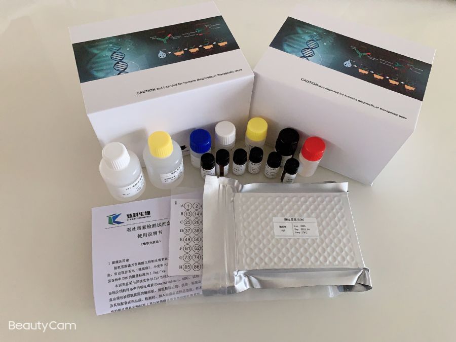 细胞膜片层结构模型_细胞膜片钳技术_细胞膜片
