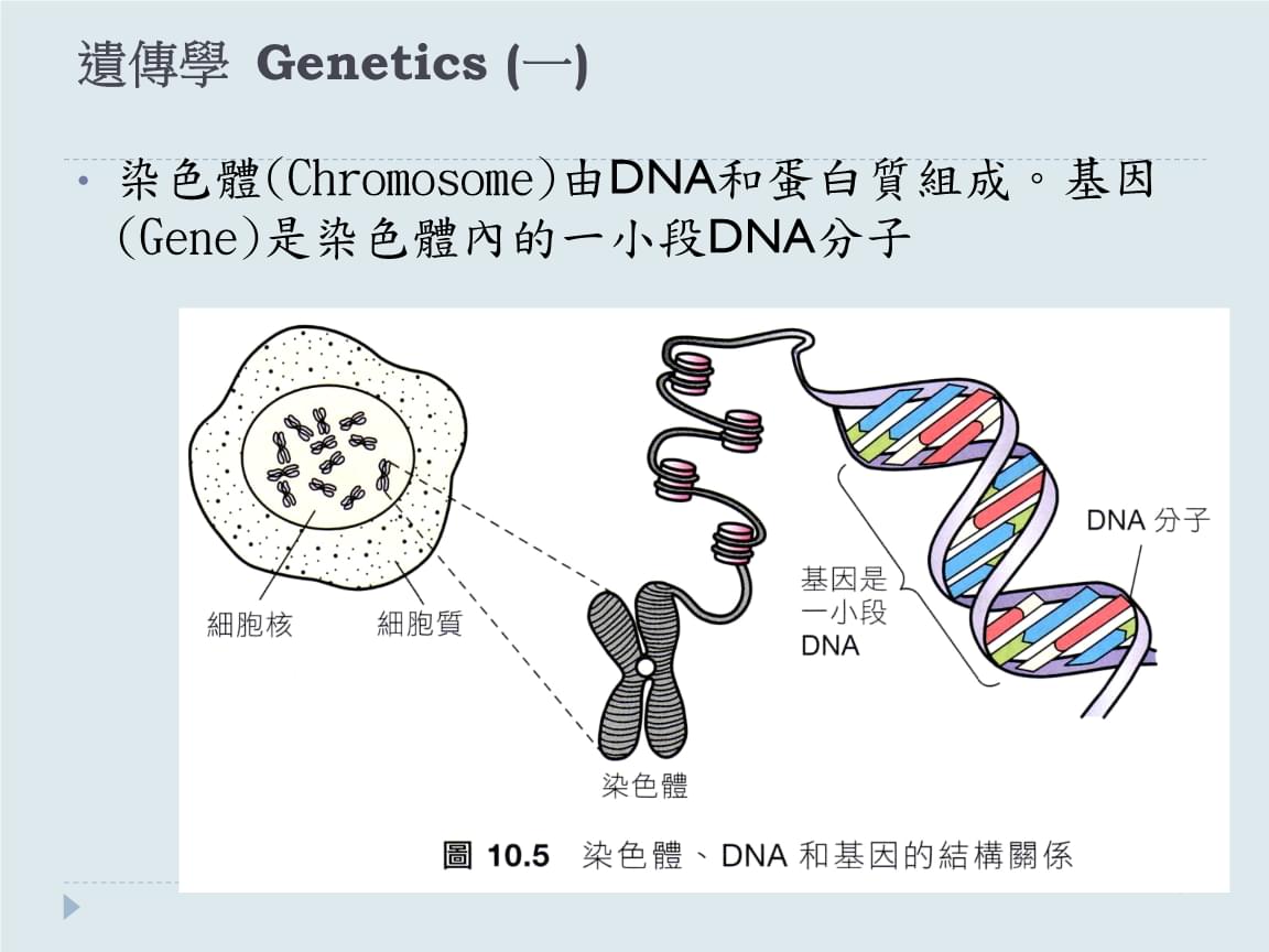 细胞膜水通道的原理_细胞膜通道的三种状态_细胞膜水通道