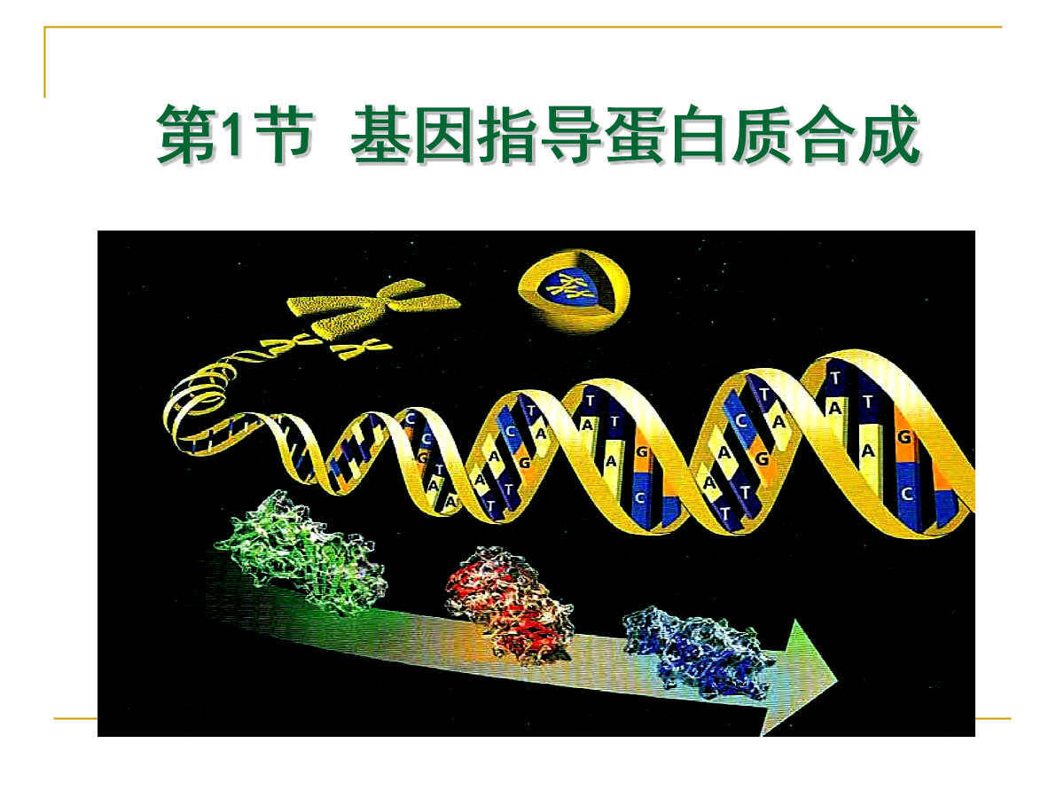 细胞膜通透性观察分析_细胞膜通透性讨论题_细胞膜选择性通透