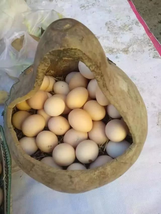 北大毕业生唱昨夜星辰的歌_北大毕业生_北大毕业生卖猪肉陆步轩