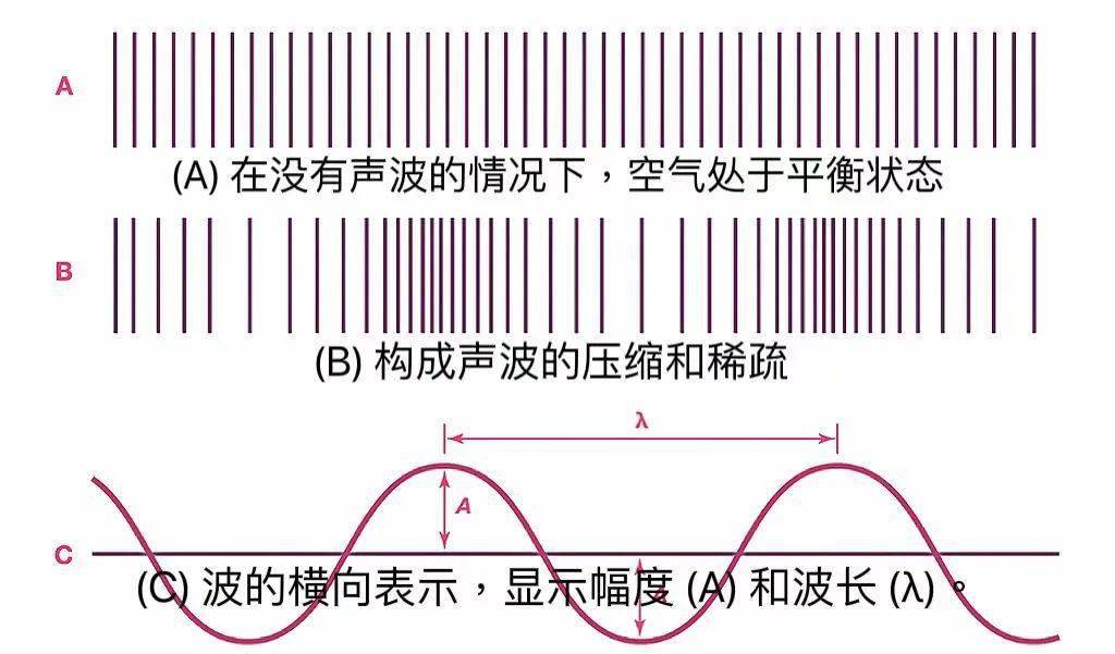大学物理实验测声速实验报告_大学物理声速测量实验_大学物理实验 声速的测定
