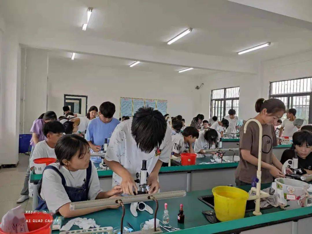 中学物理竞赛实验_初中物理优秀实验比赛_初中物理实验教学赛课